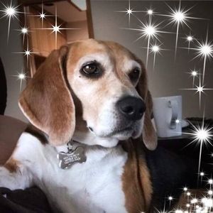 Meet your Posher, Debra